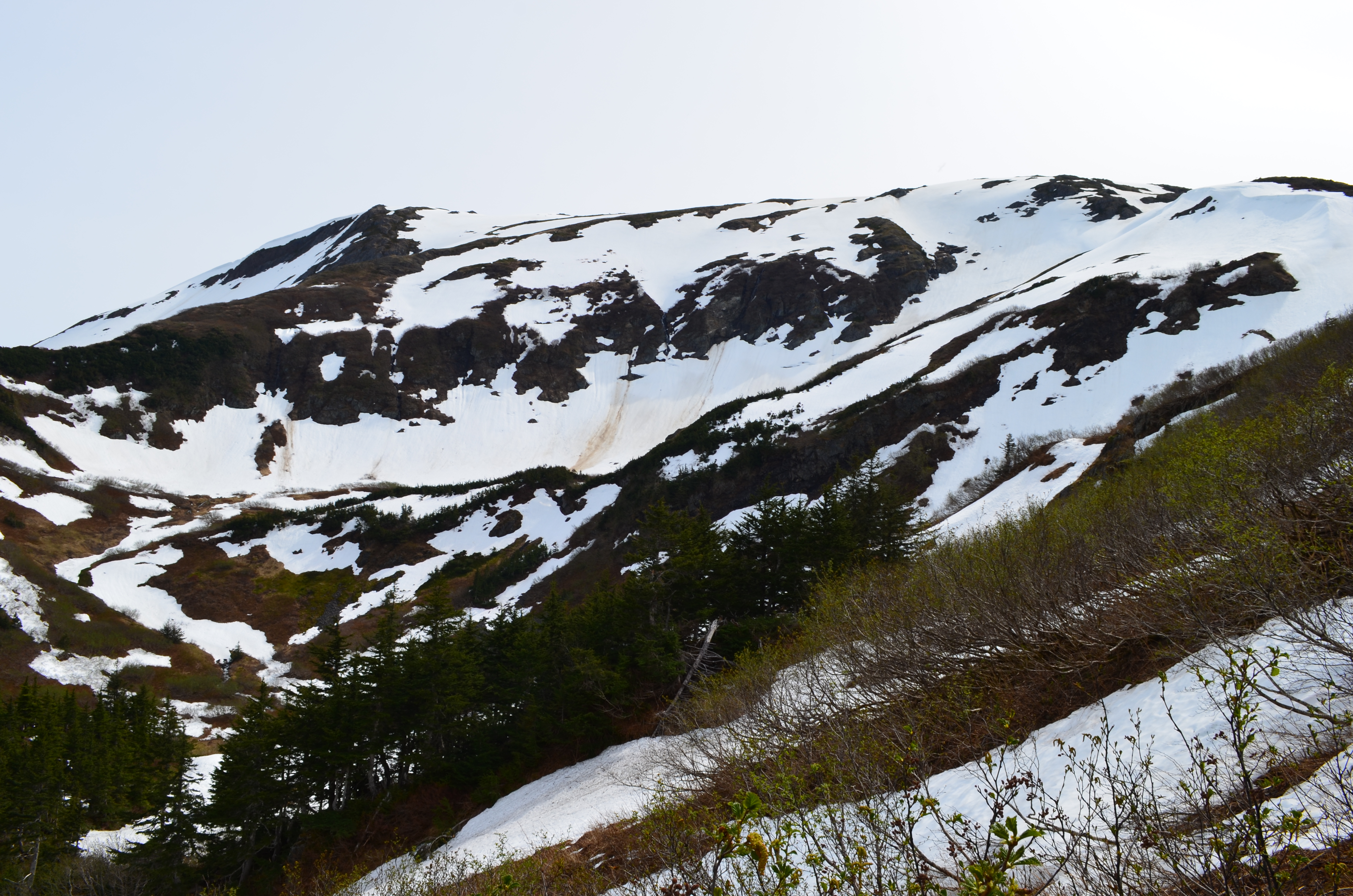 ./2017/08 - Alaska Cruise/08 - Juneau/DSC_0920.JPG